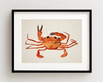 Crab Print, Vintage Crab Print, Crab Wall Art, Nautical Print Vertical