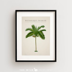 Palm Tree Print, Tropical Palm Print, Palm Tree Art Print, Vintage Botanical Print Vertical