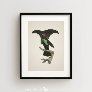 Bird of Paradise Print, Vintage Bird Print, Tropical Bird Print, Bird Wall Art, Bird Art Vertical