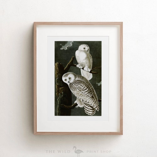 Black and White Owl Art Print Vintage Owl Wall Art Woodcut | Etsy