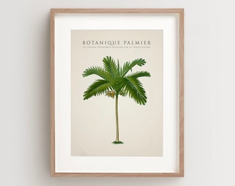 Palm Tree Print, Tropical Palm Print, Palm Tree Art Print, Vintage Botanical Print Vertical