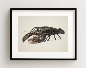 Lobster Print, Vintage Lobster Print, Lobster Wall Art, Nautical Print, Horizontal
