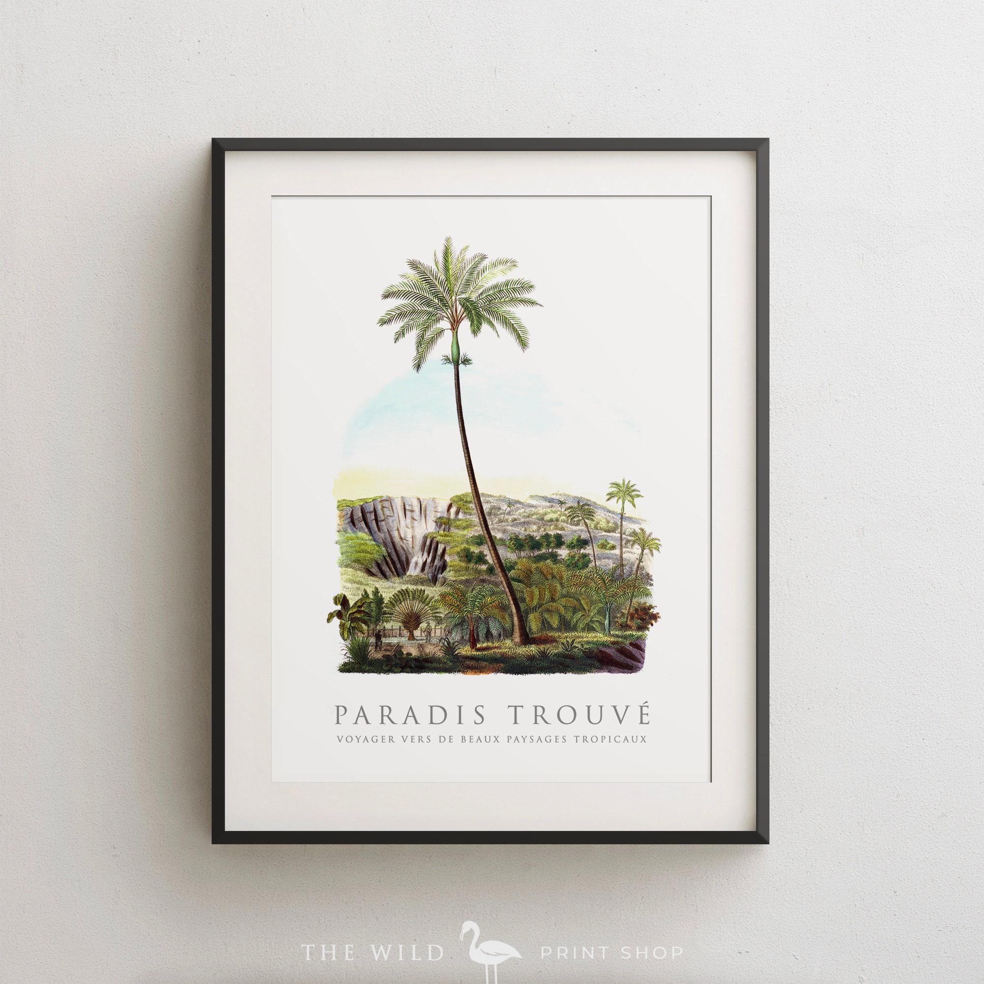 Tropical Palm Tree Print Co-Ord