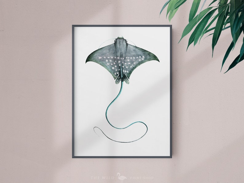 Sting Ray Wall Art main image 1