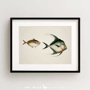 Vintage Fish Print, Tropical Fish Print, Fish Wall Art, Nautical Print, Horizontal