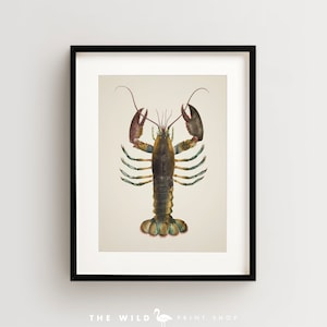 Lobster Print, Vintage Lobster Print, Lobster Wall Art, Nautical Print Vertical