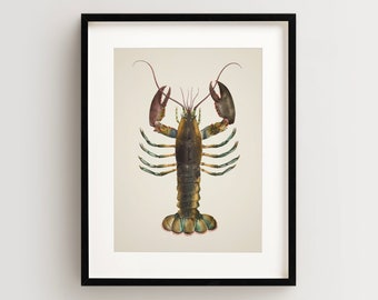 Lobster Print, Vintage Lobster Print, Lobster Wall Art, Nautical Print Vertical