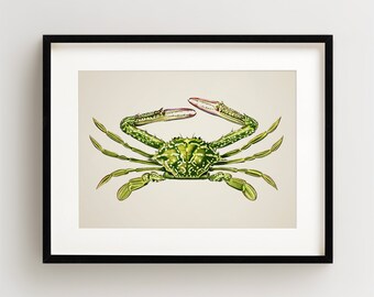 Crab Print, Vintage Crab Print, Crab Wall Art, Nautical Print, Horizontal