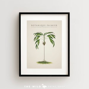 Palm Tree Print, Tropical Palm Print, Palm Tree Art Print, Vintage Botanical Print Vertical