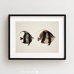 Vintage Fish Print, Tropical Fish Print, Fish Wall Art, Nautical Print, Horizontal