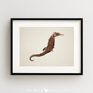 Seahorse Print, Tropical Fish Print, Fish Wall Art, Nautical Print, Horizontal