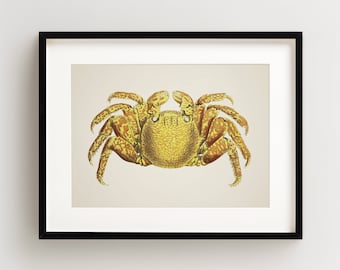 Crab Print, Vintage Crab Print, Crab Wall Art, Nautical Print, Horizontal