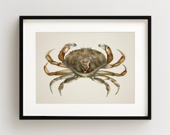 Crab Print, Vintage Crab Print, Crab Wall Art, Nautical Print, Horizontal