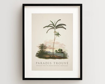 Palm Tree Print, Tropical Palm Print, Island Print, Vintage Botanical Print Vertical