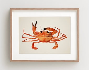 Crab Print, Vintage Crab Print, Crab Wall Art, Nautical Print Vertical