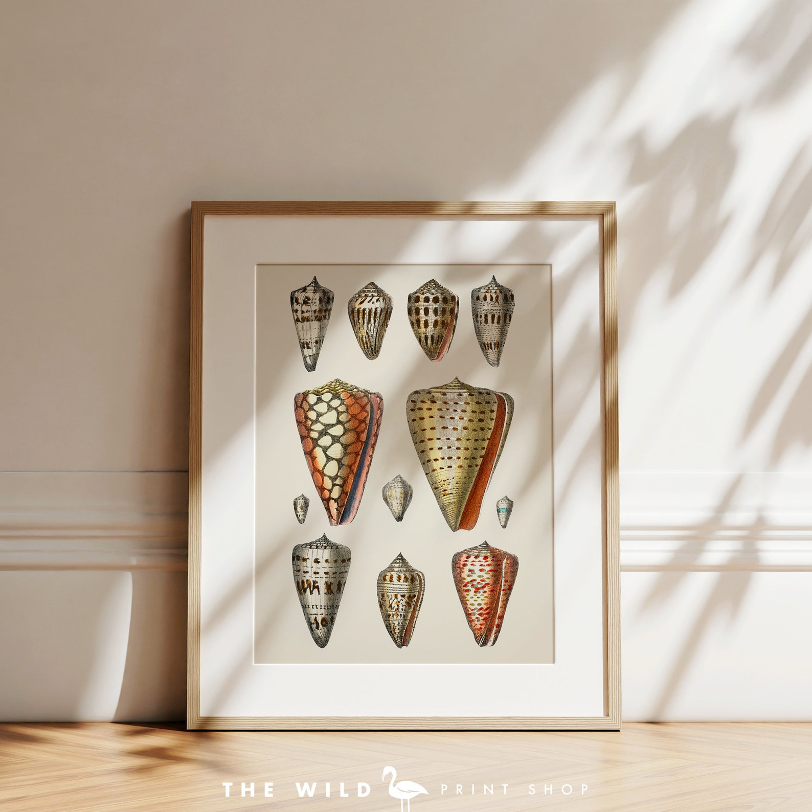 Seashell Print, Vintage Seashell Print, Seashell Wall Art, Nautical ...