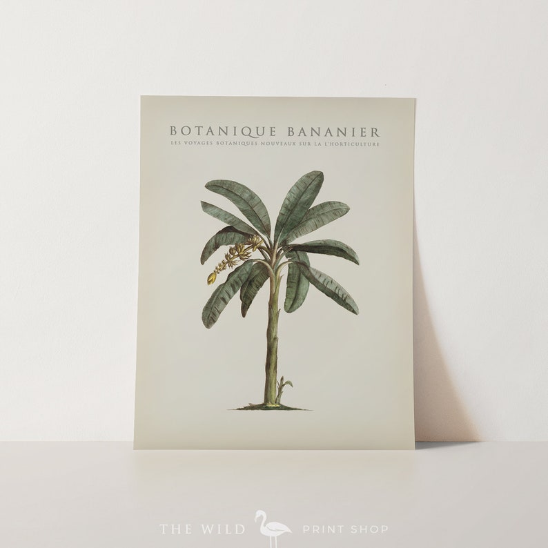 Banana Tree Print Banana Tree Art Print Vintage Botanical Etsy banana-tree-print-banana-tree-art-print-vintage-botanical-etsy