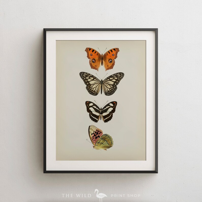 Butterfly Wall Art Butterfly Art Print Vintage Butterfly Print Giclee Art Collectibles Affilinova Com Butterfly Wall Art Butterfly Art Print Vintage Butterfly Print Giclee Art Collectibles Affilinova Com