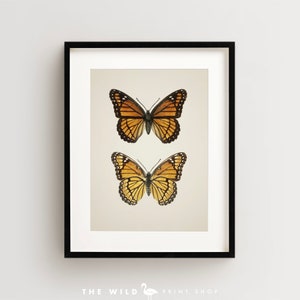Vintage Butterfly Print, Butterfly Art Print, Butterfly Wall Art Vertical