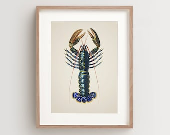 Lobster Print, Vintage Lobster Print, Lobster Wall Art, Nautical Print Vertical