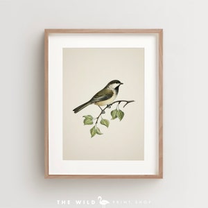 Vintage Bird Print, Chickadee Print, Bird Wall Art, Vintage Bird Print, Red Bird Art Vertical