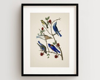 Vintage Bird Print, Townsends Warbler Print, Bird Wall Art, Audubon Bird Print, Bird Art Vertical