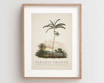 Palm Tree Print, Tropical Palm Print, Island Print, Vintage Botanical Print Vertical