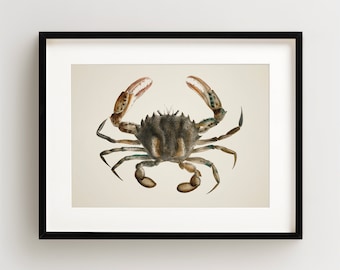 Crab Print, Vintage Crab Print, Crab Wall Art, Nautical Print, Horizontal