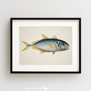 Vintage Fish Print, Tropical Fish Print, Fish Wall Art, Nautical Print, Horizontal