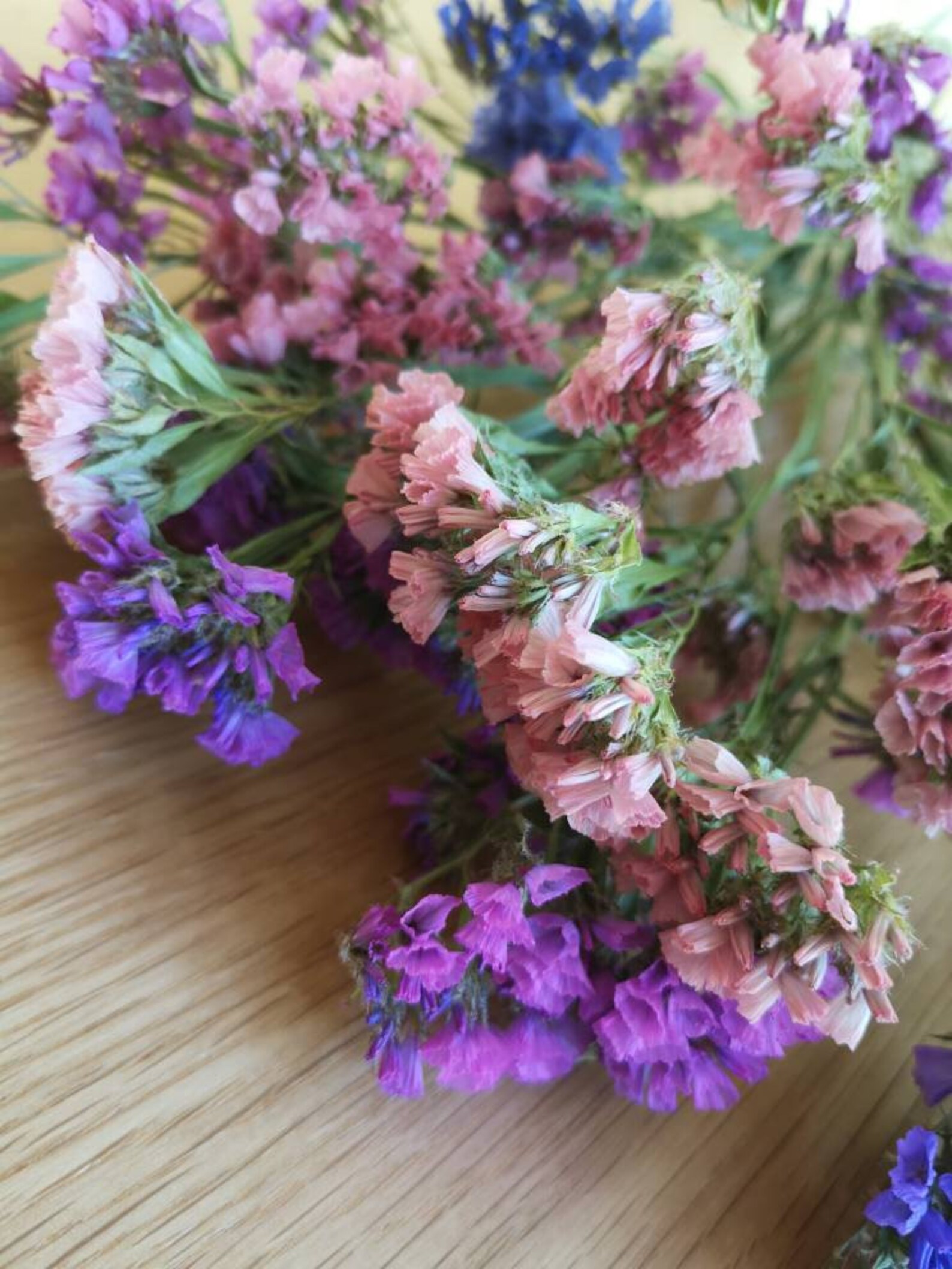 12 stems of Dried Statice mixed colours. UK Etsy