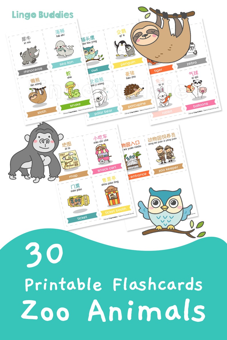 chinese flashcards printable animal flashcards zoo animal etsy