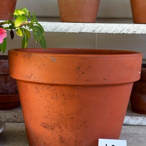 May include: A terracotta plant pot with a wide rim and a weathered, reddish-brown surface featuring subtle dark markings. A small white square tag with the handwritten number 12 is placed in front of the pot, which has a tapered cylindrical shape.