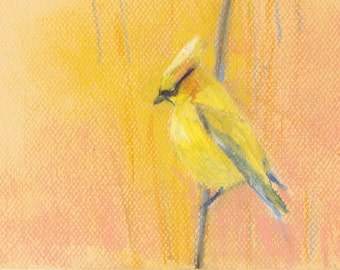 Yellow Goldfinch Painting, Bird Painting, Maine Art, Art Print, Oil Painting, Maine Landscape, Coastal Maine, Landscape Art, Bird Art