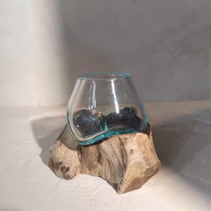 Molten Glass Bowl on Natural Wood Base | Handmade in Bali | Unique Driftwood Art | Terrarium, Candle Holder Home Decor nature inspired gift