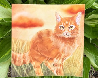 Pode incluir: Uma impressão quadrada com um gato malhado laranja em um campo de grama alta sob um céu de pôr do sol. O gato tem olhos amarelos e está voltado para a frente. O fundo tem tons de laranja e amarelo.