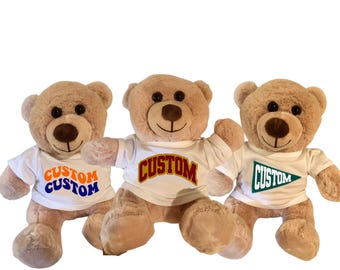 College Teddy Bear, College acceptance gift, Graduation Gift, custom college merch, Bed Party,  College Bed Party, Teddy Bear,  college gift