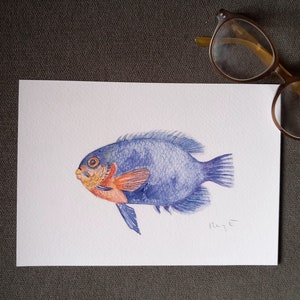 Fish printed sheet, watercolor print, beach decoration, room decoration, fish, sea, fish
