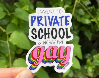 Pode incluir: Um adesivo branco com o texto "I went to private school & now I'm gay" em letras pretas e azuis. A palavra "gay" está em letras cor-de-rosa com um design de arco-íris.