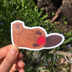 Sticker castor canadien drôle, sticker animal coquin, sticker drôle pour ordinateur portable, cadeau Canadiana