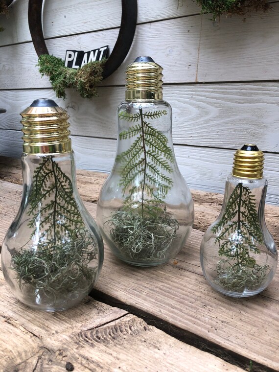 Lightbulb Vase Etsy