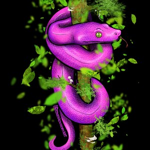 Stoner Advisory Art Pink Python Holographischer Aufkleber