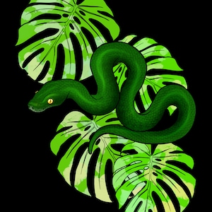 Stoner Sticker in Grün & Monstera auf Sticker