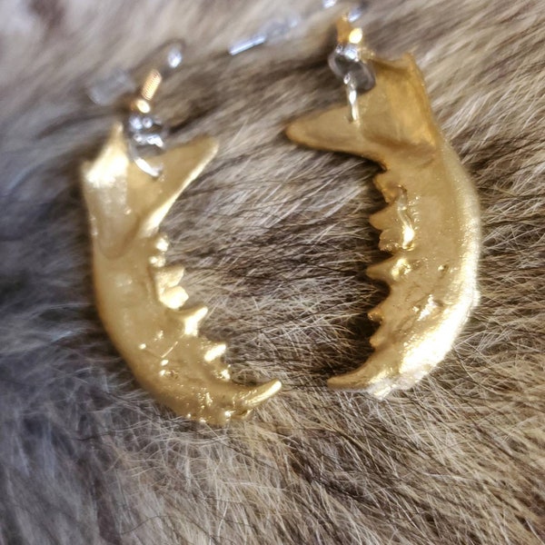 Stoner Advisory Art Oddities Real Mink Jaw Gold Earrings