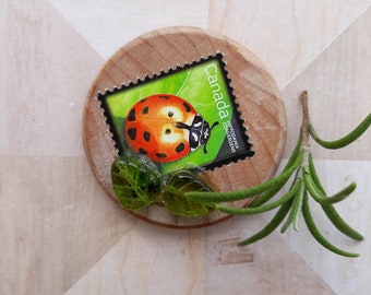 Ladybug Canadian Stamp Fridge Magnet, Leaf Glass Beads, Distressed Wood