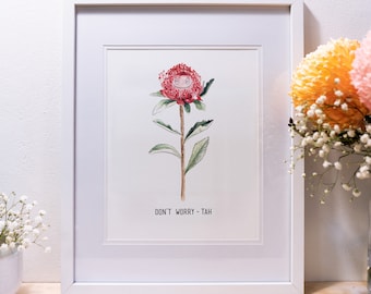 Waratah Kunstdruck | Zeitgenössische australische Blumenillustration | A4 Aquarell moderne australische Kunst | süßes Wortspiel | Einheimische Flora