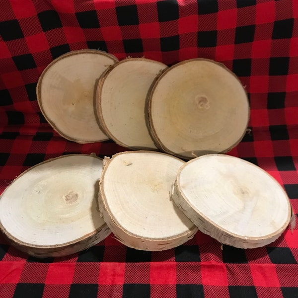 Birch Wood Rounds for crafting-ornaments-decor (Large)