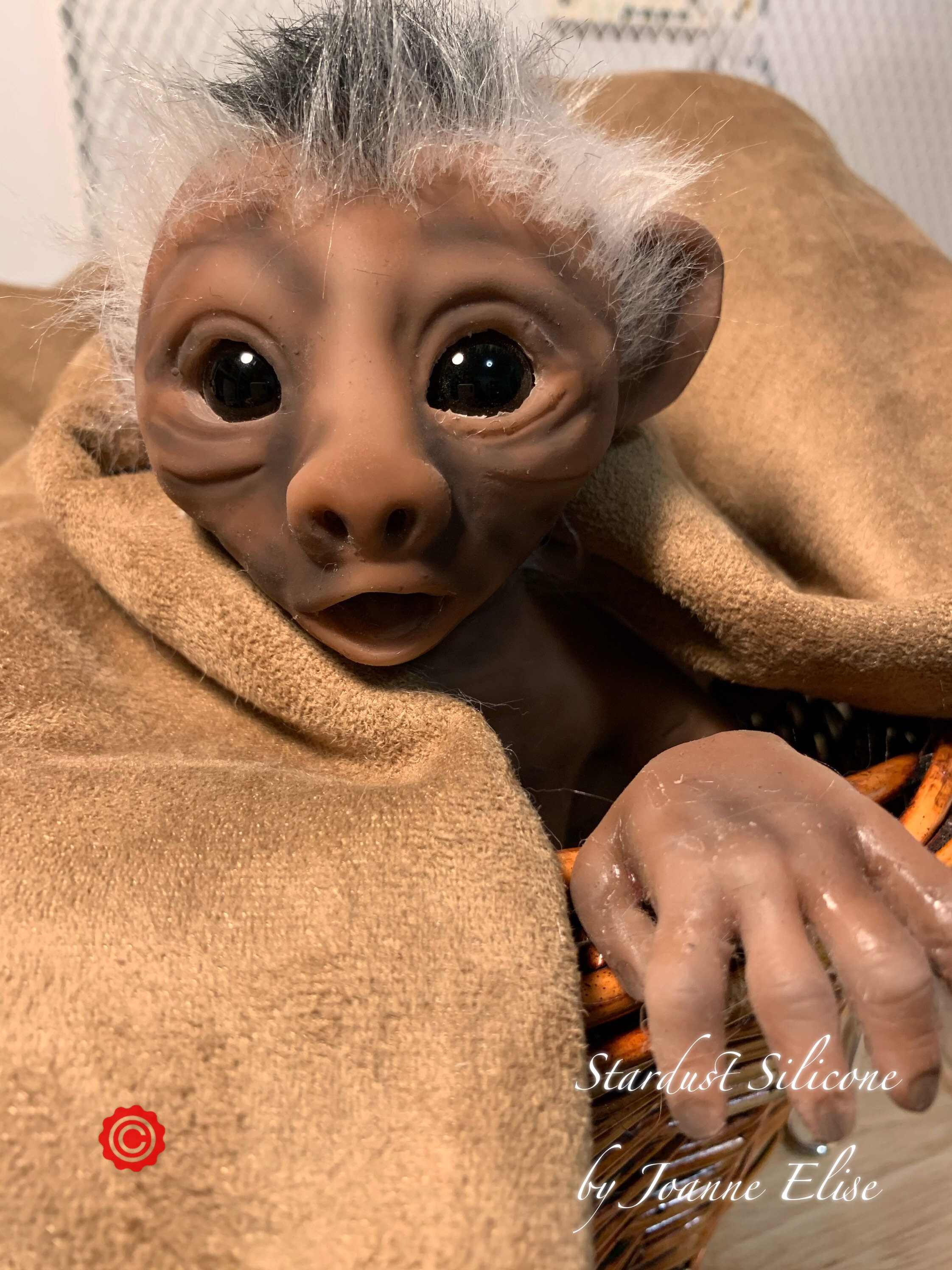 Lancelot Le Singe Capucin Etsy
