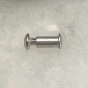 May include: A silver metal screw with a rounded head and a threaded shaft.