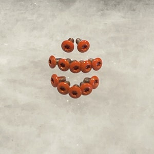 Puede incluir: Una colección de 12 tornillos de color naranja con cabeza de estrella. Los tornillos están dispuestos en forma de semicírculo.
