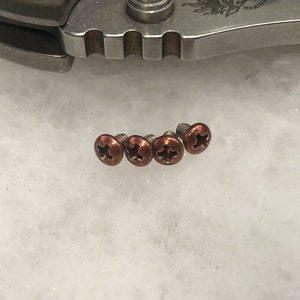 May include: Five small, copper-colored screws with a cross-shaped head.